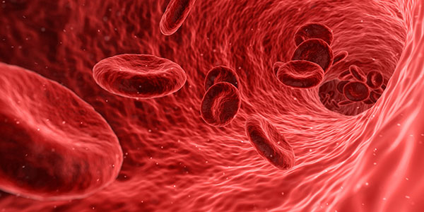 فرط الكريات الحمراء Polycythemia