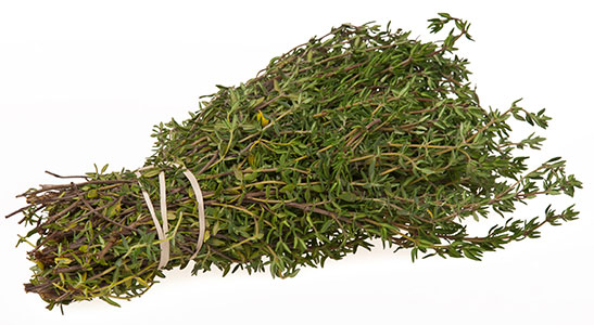 استعمالات وفوائد الزعتر | الصعتر Thyme