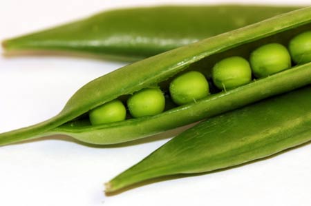 البازيلاء Peas البازيلا