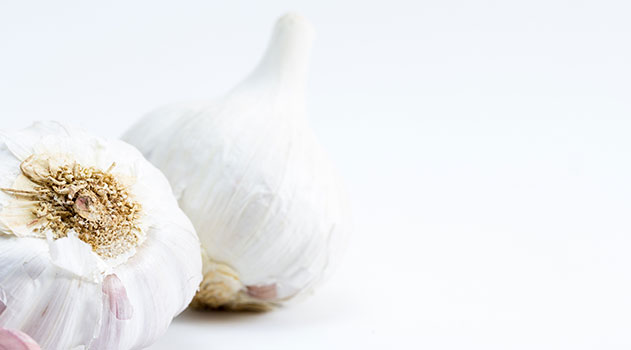 الثوم Garlic