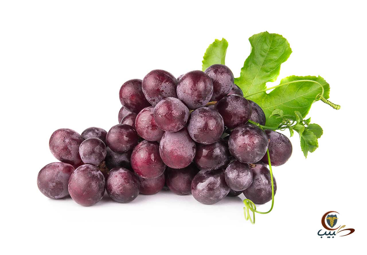 العنب، مشتقات بذر العنب Grape , Grape seeds extract vitisvinifera