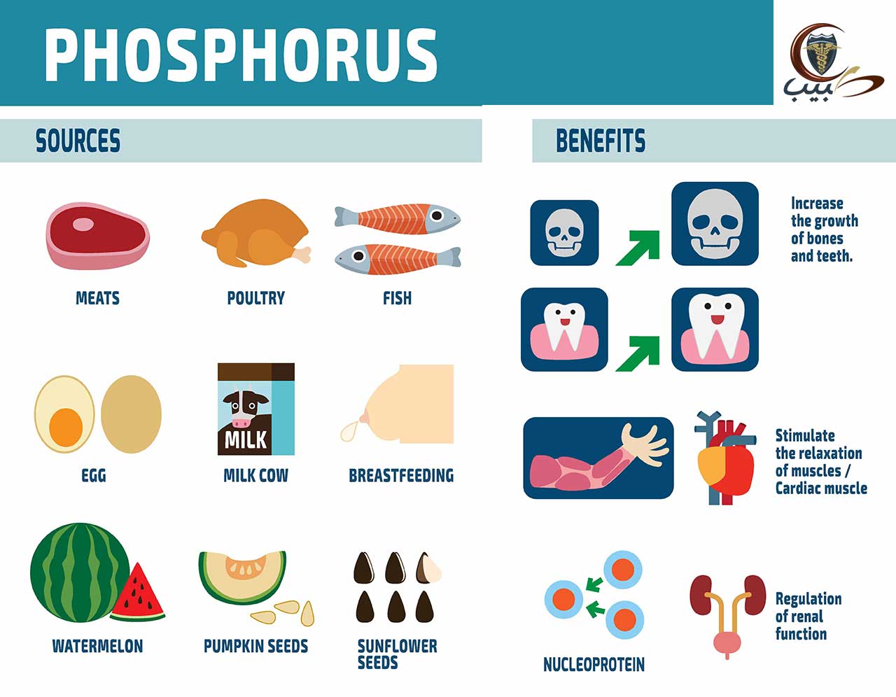 الفوسفور الفسفور Phosphorus P