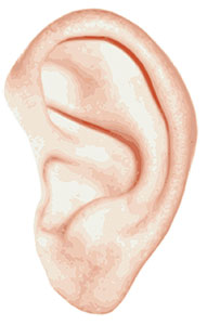 تجميل الأذن | جراحة تجميل الاذن