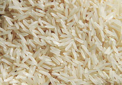 فوائد الارز | الرز Rice | Oryza Sativa