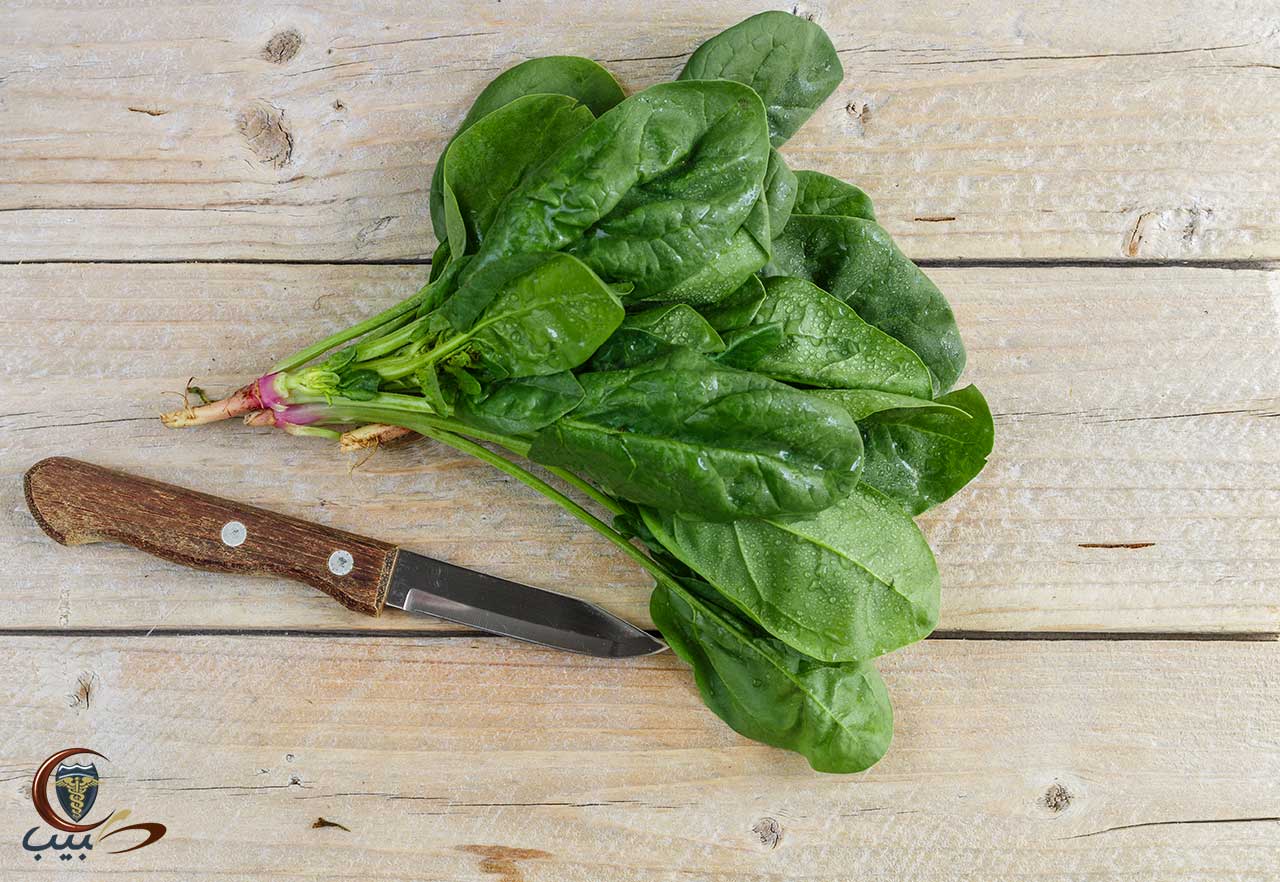 فوائد السبانخ الطبية Spinach