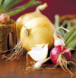 فوائد البصل Onion