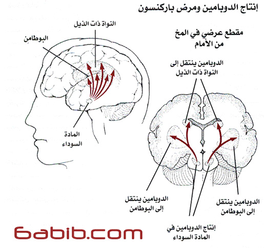 ‏مرض باركنسون Parkinson Disease