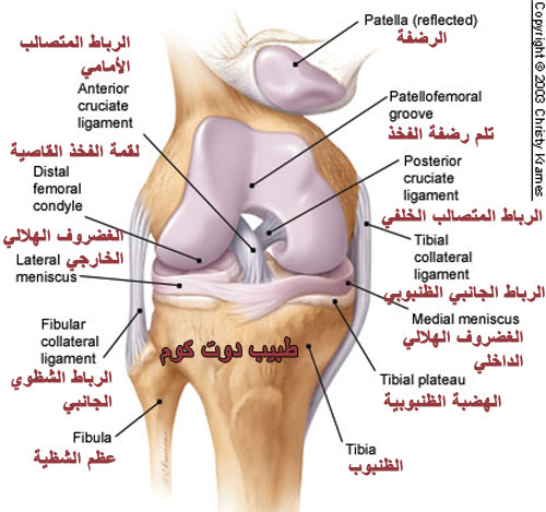 ‏ألم الركبة | الأسباب، العلاج المنزلي، الوقاية Knee pain