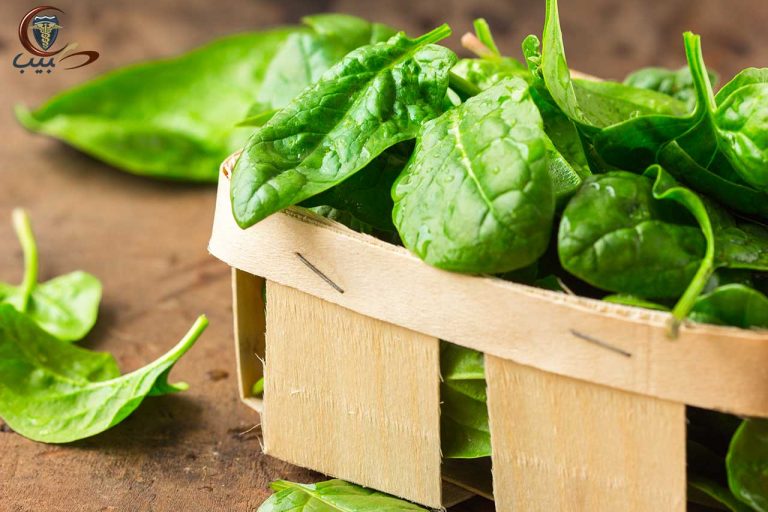 السبانخ Spinach