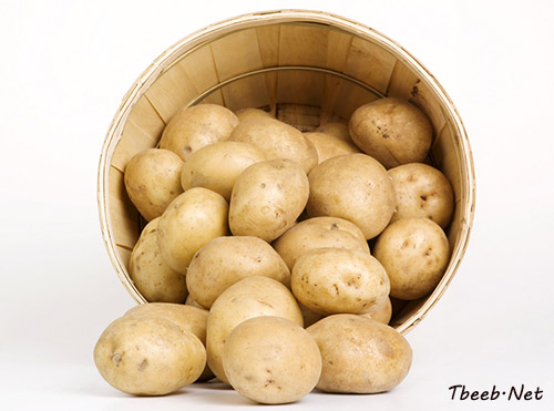 البطاطا Potato