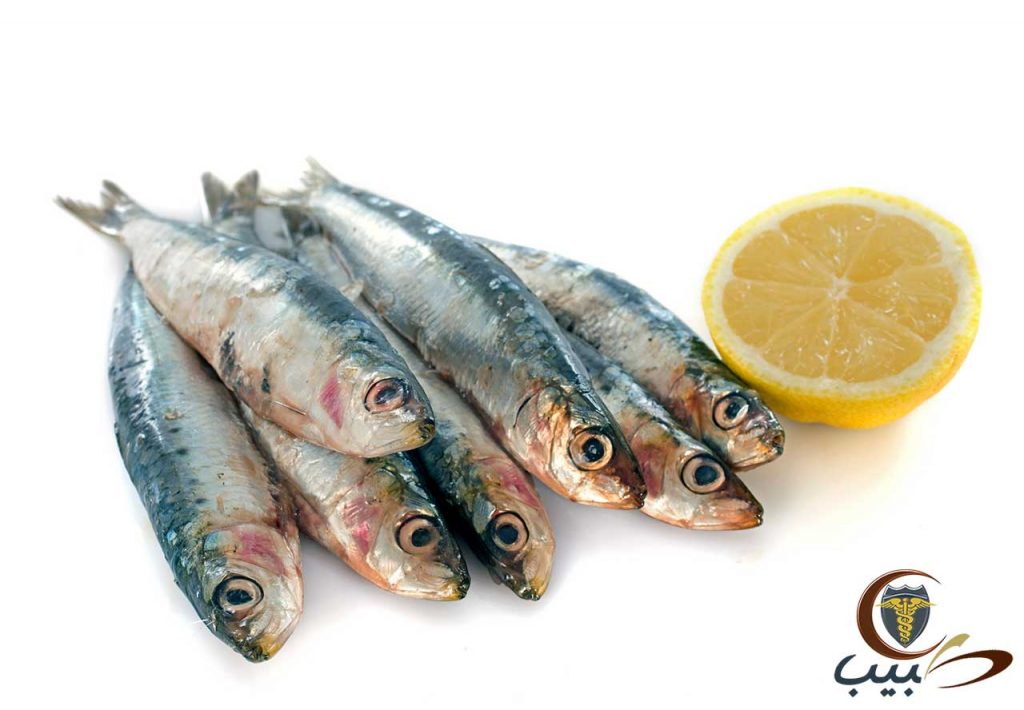 سمك السردين Sardines