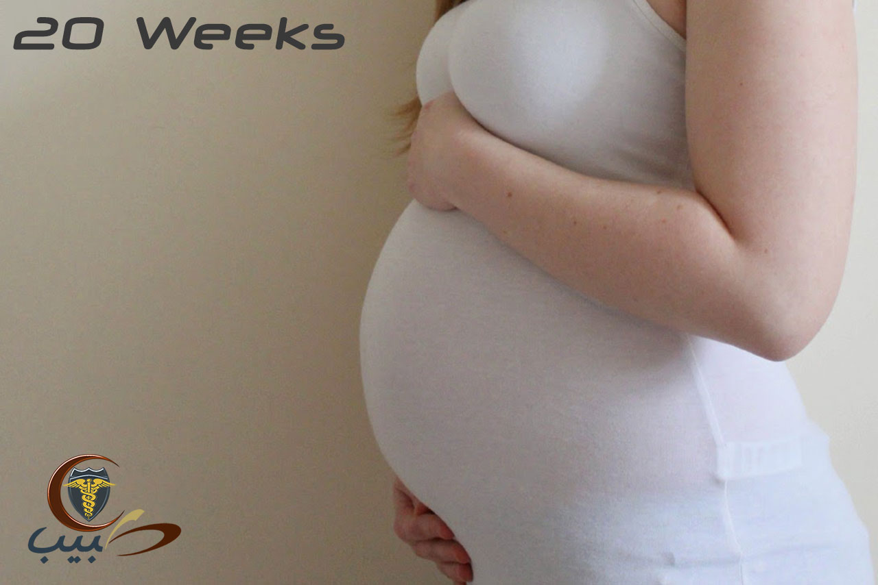جسم الحامل في الشهر الخامس