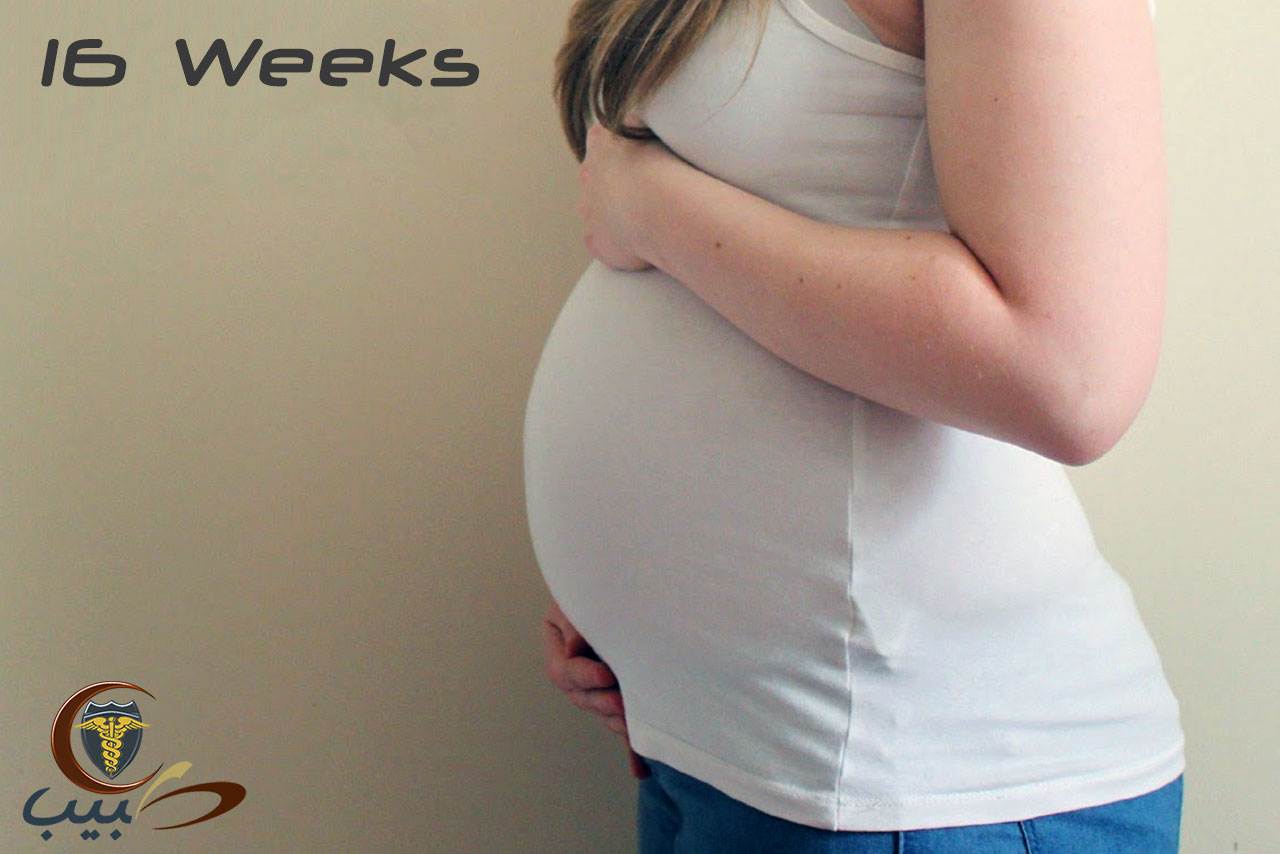 جسم الحامل في الشهر الرابع الأسابيع 13 16 من الحمل طبيب دوت كوم