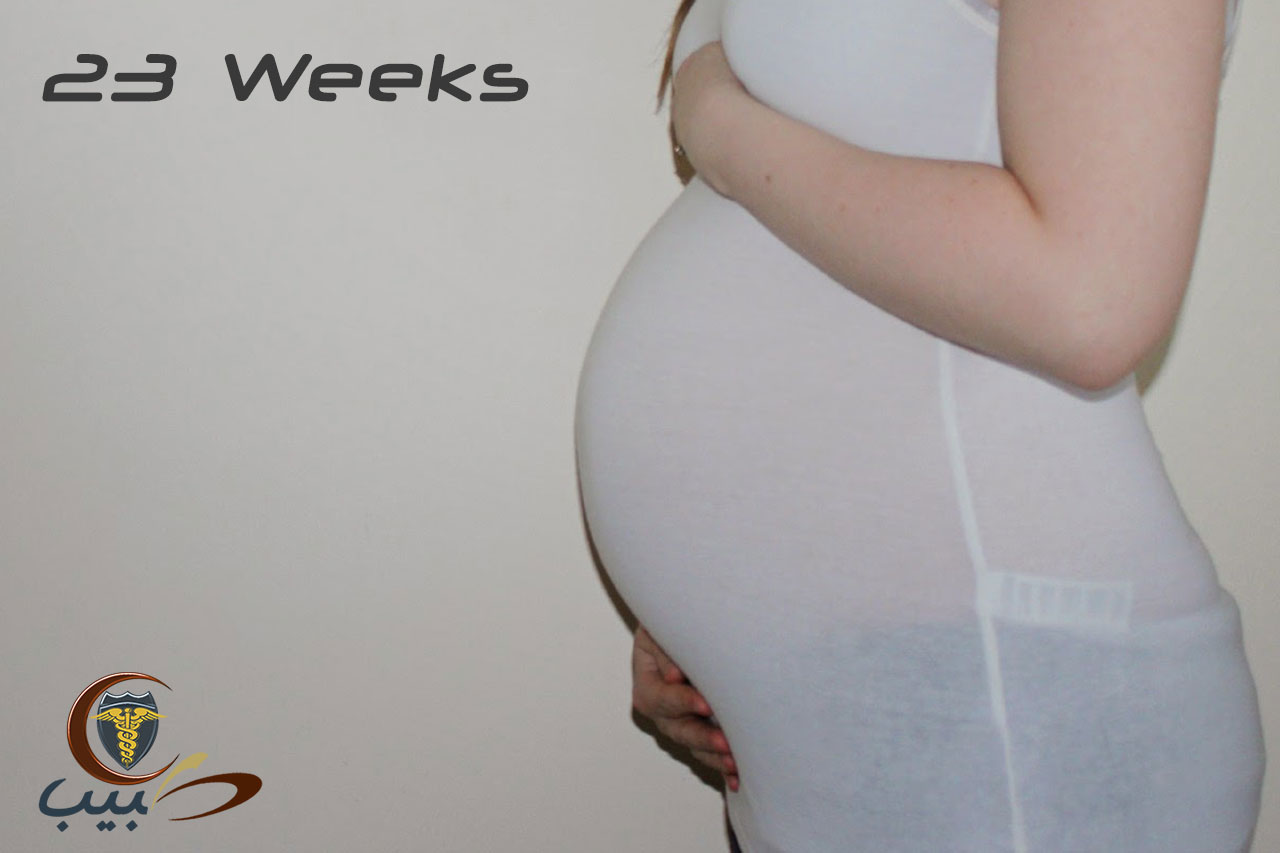 جسم الحامل في الشهر السادس: الأسابيع 21 - 24 من الحمل