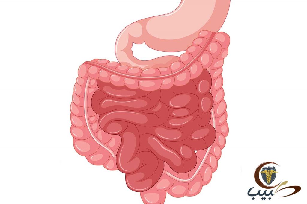 تنظيف القولون والأمعاء وإزالة السموم استعادة حيوية الشباب ج5 طبيب