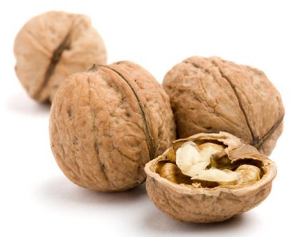 الجوز Walnut