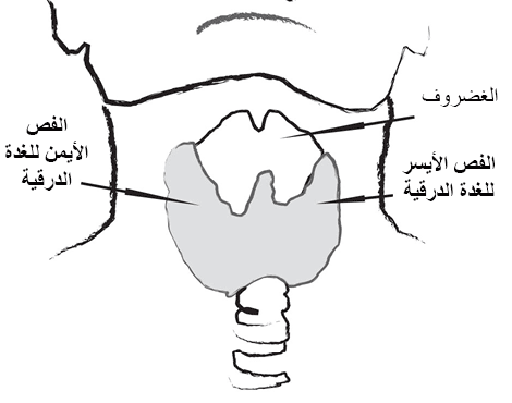 فحص الغدة الدرقية بملاحظة العنق