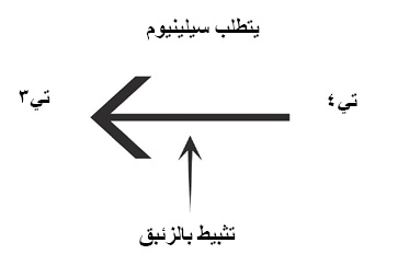  تحويل هرمون تي٤ إلى صورته النشطة، وهي هرمون تي٣