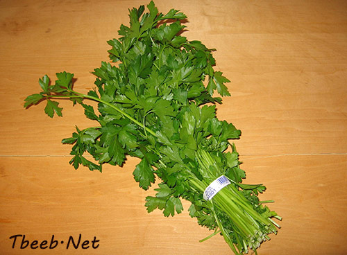 البقدونس Parsley