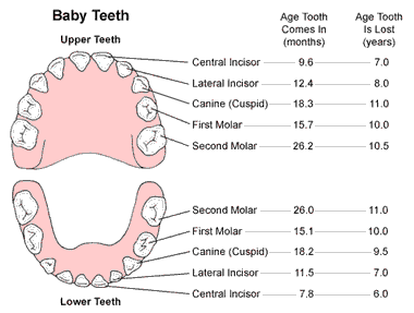 أسنان طفل