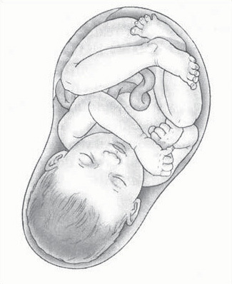 تطور الجنين في الشهر التاسع