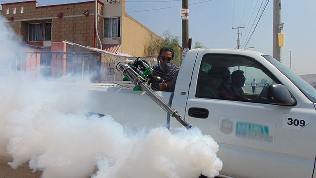 المبيدات الحشرية أثناء الحمل