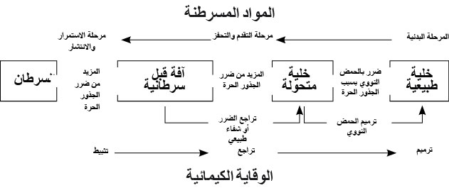 الإجهاد التأكسدي بوصفه سببا للسرطان