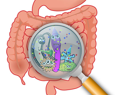 طرق علاج الاسهال بالمنزل Diarrhea