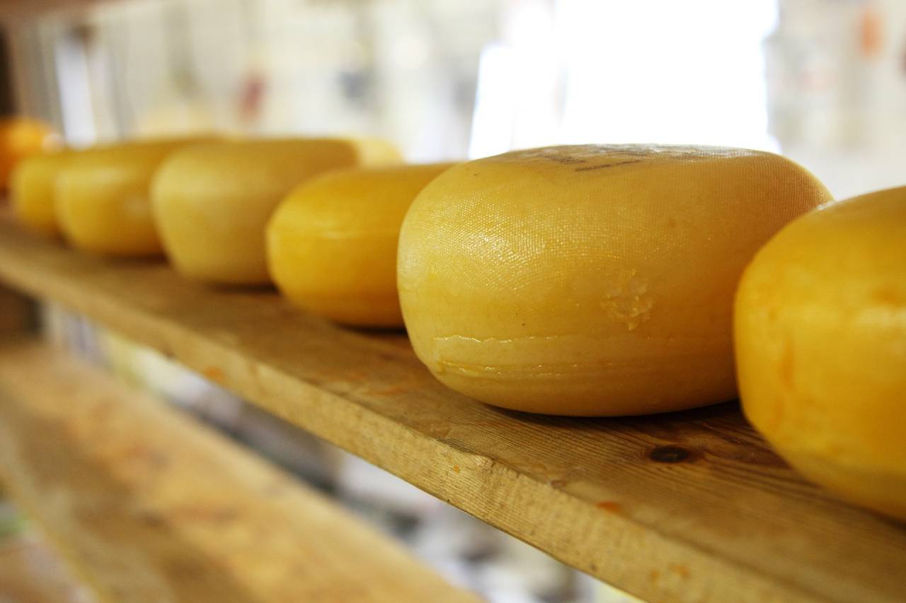 السعرات الحرارية في الجبن أكثر من أي مشروب غازي وملح أكثر من رقائق البطاطس