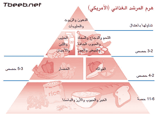 الهرم الغذائي الأمريكي