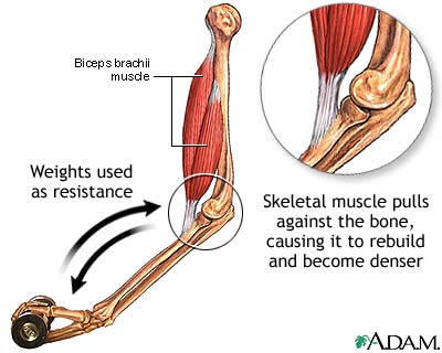 How Exercise Protects Against Disease