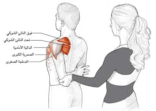 ليرحم الله روحه التي تتألم تحت الكتف الأيسر من خلف Dsvdedommel Com