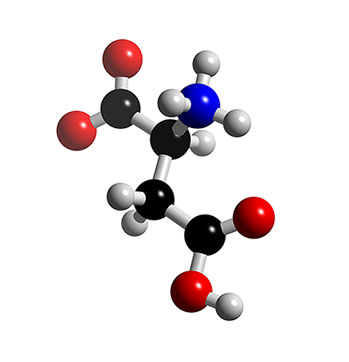 Amino Acids and Proteins structure تركيب الأحماض الأمينية والبروتينات