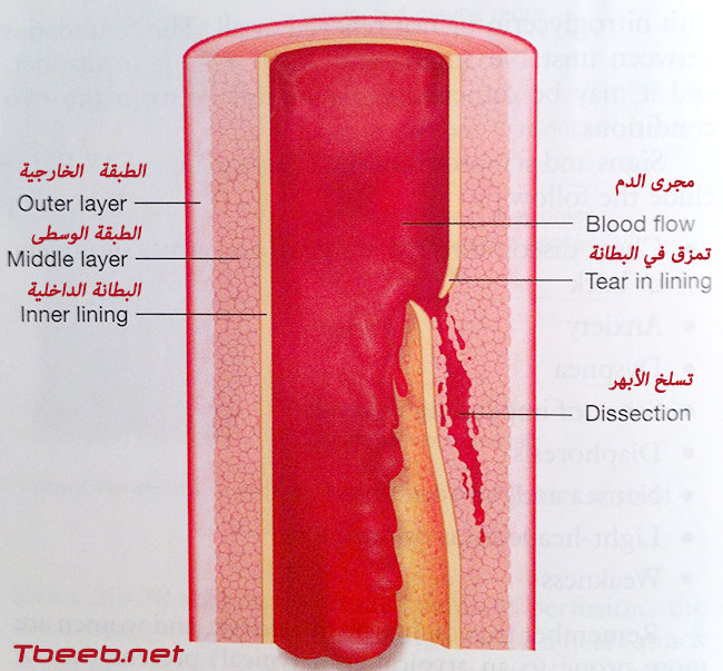 وزارة التربية والتعليم (السعودية)