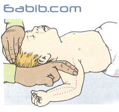 BRACHIAL PULSE النبض العضدي