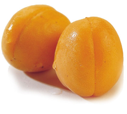 مشمش، المشمش apricot