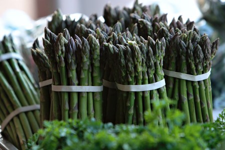 هيليون، هليون، الهليون asparagus