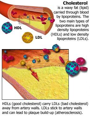 الكولسترول عبارة عن نوع من الدهون أو اللبيدات يتدفق في الجسم عبر الدورة الدموية