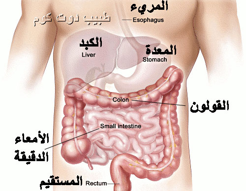 اعراض القولون المتهيج