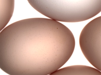 eggs بيض، البيض