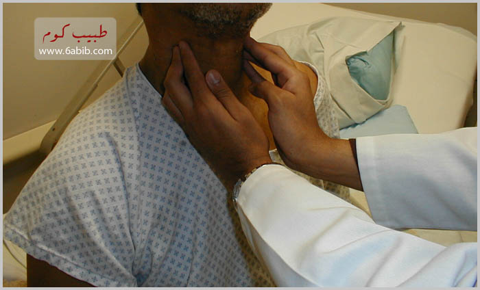 head-lymphnodes%20copy.jpg